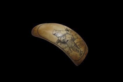6 3/4" x 2 5/8" Resin Tooth with Scrimshaw
