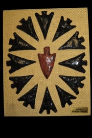 11" x 9" Frame Containing Aztec Arrowheads