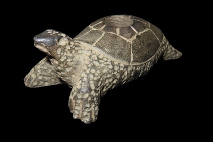 4 3/8" x 1 3/4" Hardstone Turtle Pipe