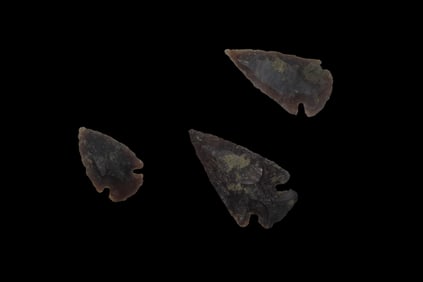 5 1/4" x 6 1/4" Riker Frame of Arrowheads, Hot Springs, AR