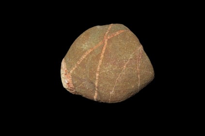 2 1/2" x 2 5/8" Cool Banned Rock