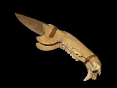Antique Wolf Jawbone Knife, w/Grey Ghost Blade-Decorative, Re-Enactment, Rendezvous, Movie Prop