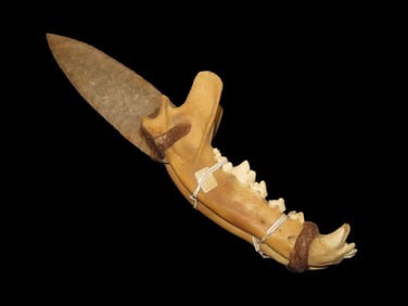 Antique Wolf Jawbone Knife, w/Grey Ghost Blade-Decorative, Re-Enactment, Rendezvous, Movie Prop