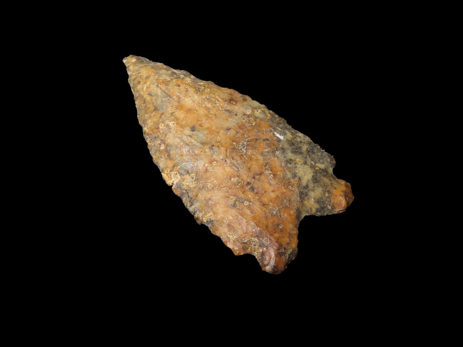 1.5/8" Elko, Humboldt Co NV Yellow and Grey Jasper Ex Jim Lee Collection Reviewed and Approved Authe (1 of 5)