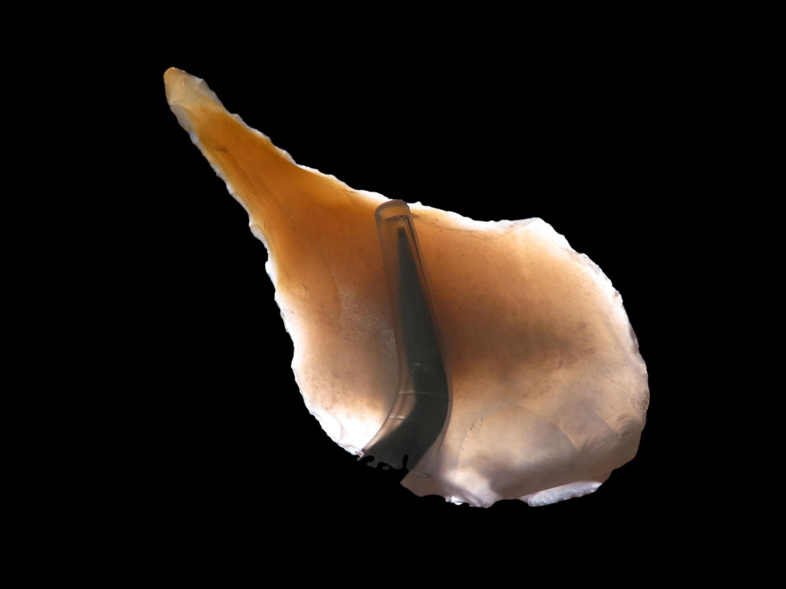 2 3/8" Paleo Uniface Drill, Colorado River, Oregon, EX Jim Lee Collection, Reviewed and Approved Aut (1 of 5)