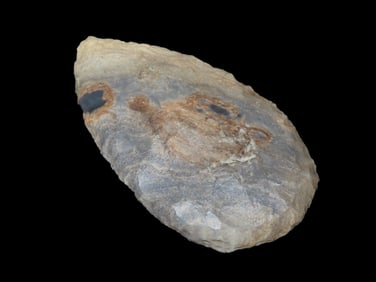 3 7/8" Cobbs Blade, Wild Material, Found by Bill Shanks, Tulsa Co., Oklahoma,