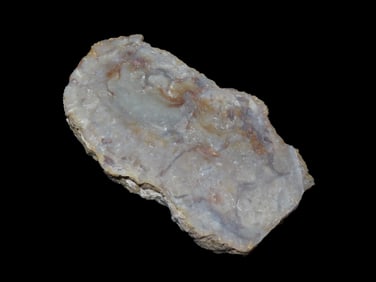 156-146 Million Years Old Jurassic Era Coprolite (Dinosaur Excrement), Found in Utah, USA