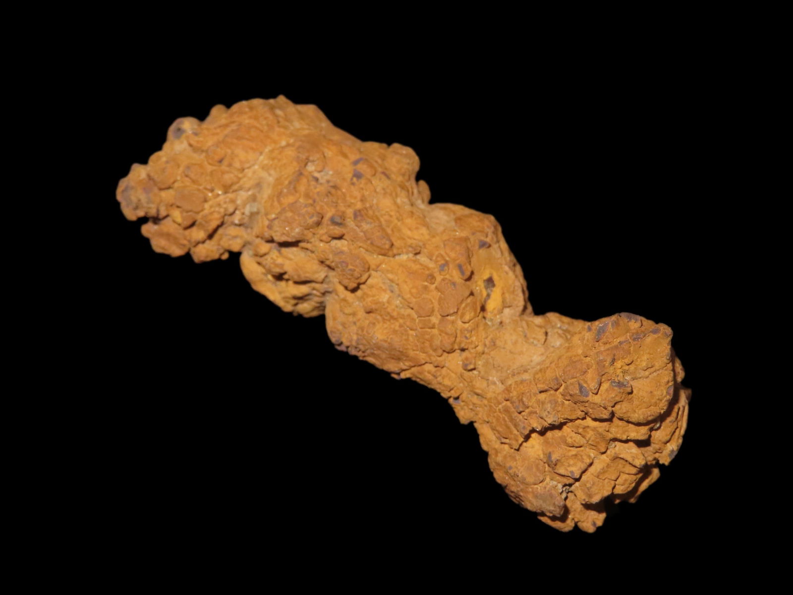 Coprolite Fossil Dinosaur Poop, 100 Million Years Old, Madagascar: Coprolite Fossil Dinosaur Poop, 100 Million Years Old, Madagascar
