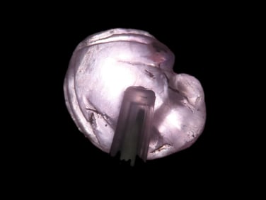 5/8" Pre Columbian Flourite Frog Effigy Bead Pendant