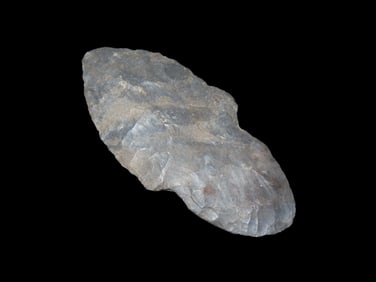 2 1/2" Turkeytail Ohio, Ex Walt Mclntire Collection