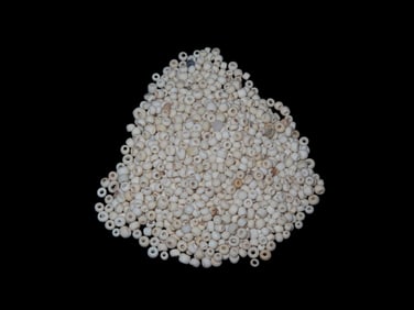 Well Over 100 Early Trade Beads Found as a Cache in Northern Georgia