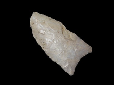 2" Paleo Dalton Kentucky, Heavy Base Grinding, Ex Walt Mclntire Collection