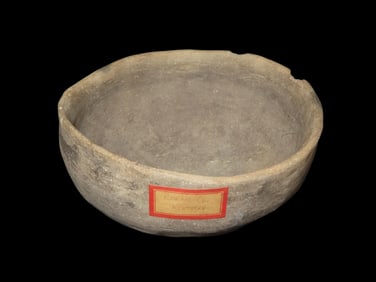 1 9/16" Scallorn Bird Pt.