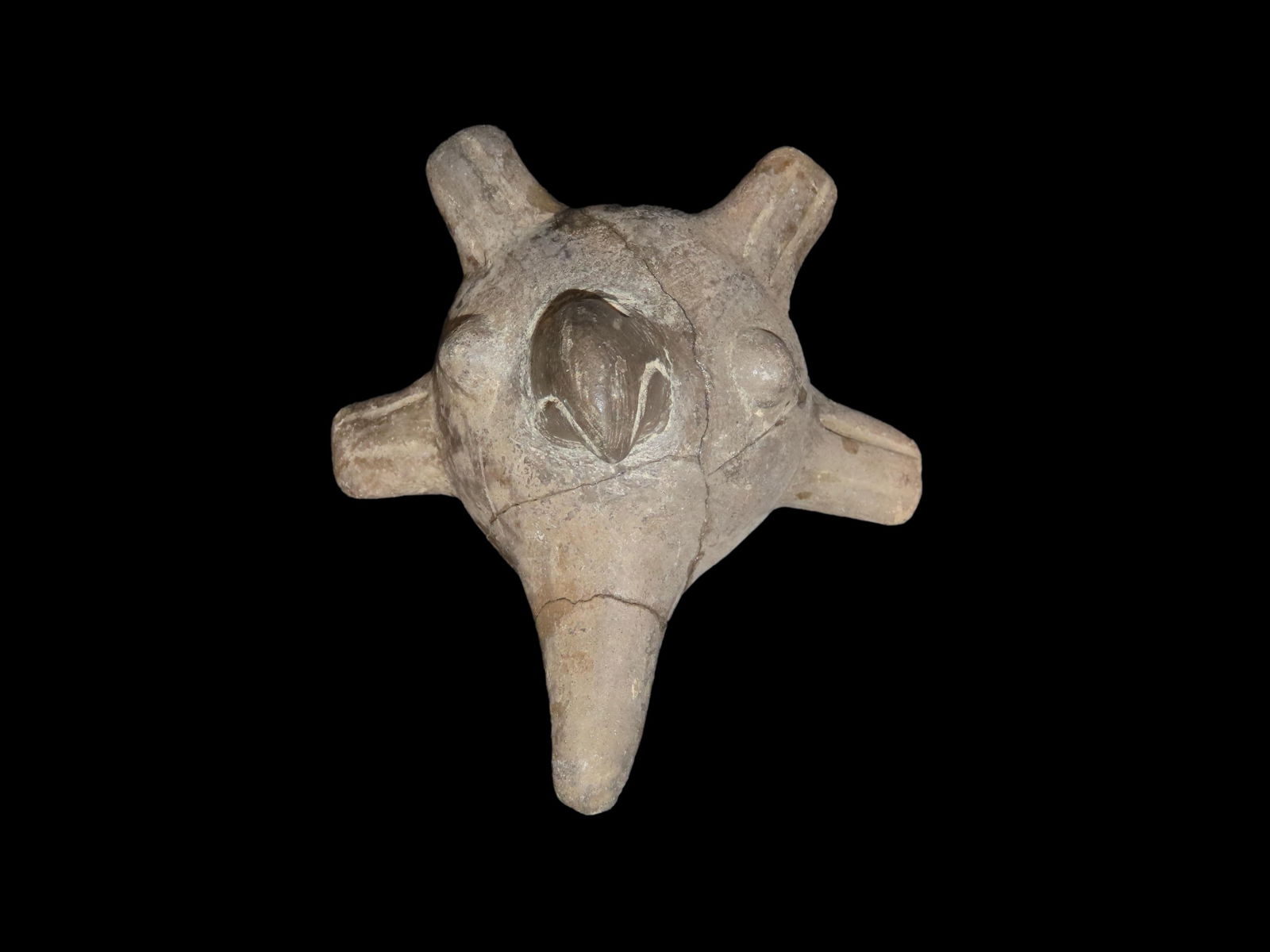 Amazing Pre Columbian Zoomorphic Harpy Eagle Pottery Effigy, Guatemala, 3 1/2", broken and repaired. (1 of 6)