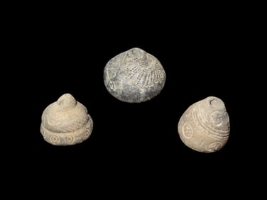 Pre Columbian Bead, Nicely Engraved, Machalilla Culture, 1500 BCE to 1100 BCE, Set of 3, Ecuador