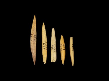 Selection of 5 Bone Awls/Needles, Tennessee