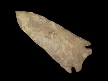 3 5/8" Pine Tree, Ex Walt McIntire, Tennessee