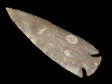 7 1/2" Grey Ghost Eccentric Arrowhead