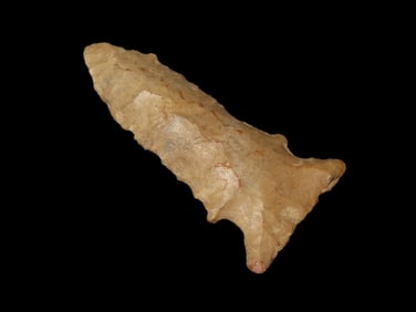 1 7/8" Pine Tree, Ex Jim Lee Collection, Reviewed and Approved Authentic by Jerry Dickey, Tennessee