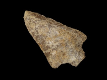 2" Newnan, Translucent Fossilized Coral, Ex Gary Mumaw (2-19960) Ex Jim Lee Collection, Reviewed and