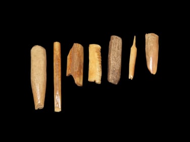Collection of Alaska Eskimo Bone Artifacts, Harpoon/Awls Tools