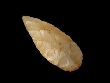 1 1/4" Nodena, EX Walt McIntire, Southern US