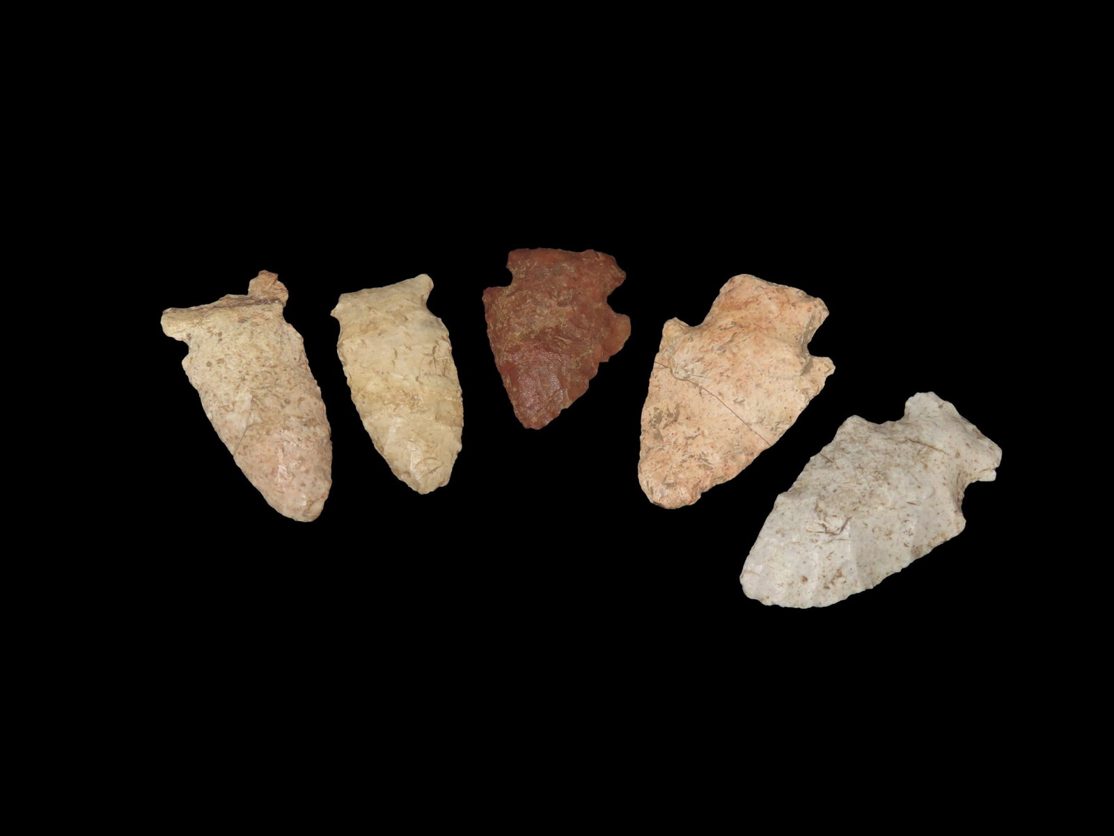 5 Arrowheads, Found by Gary Nelson, Van Buren Co., IA: 5 Arrowheads, Found by Gary Nelson, Van Buren Co., IA
