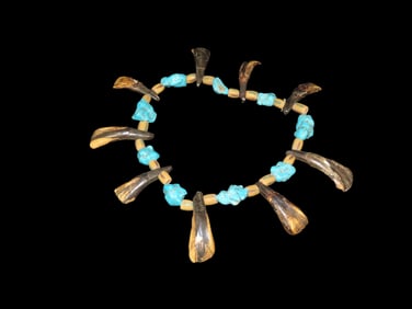 16" Long Exciting Buffalo Tooth/Turquoise Necklace
