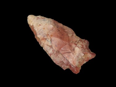 2 1/4" Buzzard Roost, EX Walt McIntire, MS