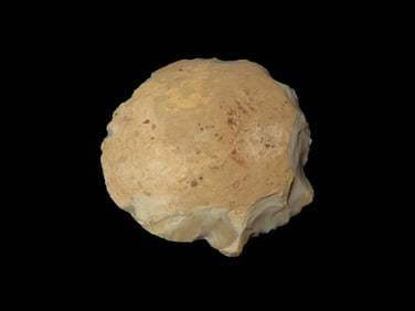 2 3/8" Sun Disc, Mozarkite, Pettis Co., MO