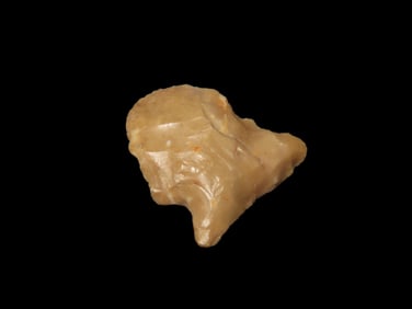 7/8" Greenbriar Blut, Found by Joshua Ream, EX Jim Bennett, Found in Louisiana/Texas