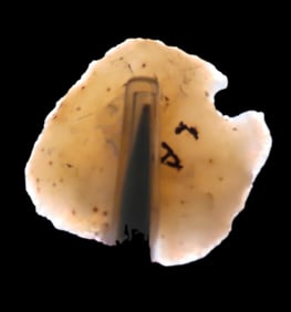 13/16" End Scraper, Louisiana