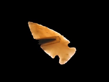 1 3/16" Bird Pt., Lewis Co., MO