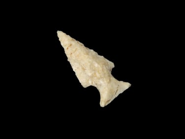 1 3/16" Scallon Bird Pt., Lewis Co., MO