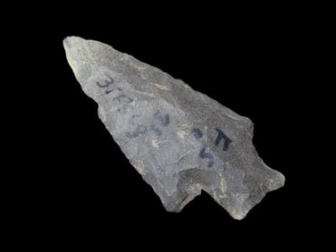 2 1/2" Savannah River, Taylor Co., FL