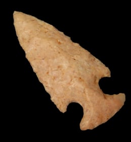 1 1/8" Scallon, Bird Pt., Clark Co., MO