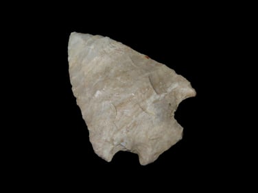 2 1/8" Fort Payne Hopewell Point, Western Tennessee