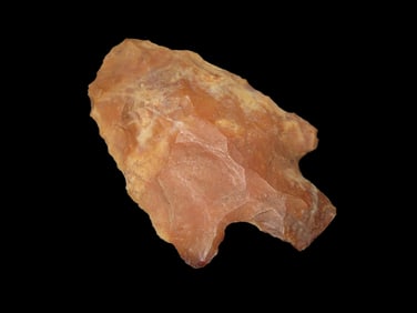 2 1/2" Florida Pt., Agatized Material, EX Jim Lee Collection, Dickey COA