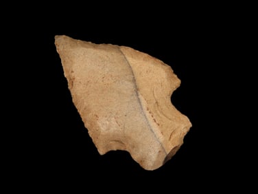 1 5/8" Two-Tone Pt., EX Jim Lee Collection, Dickey COA, Limestone, AL