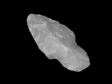 2 5/16" Turkeytail, KY, EX Jim Lee Collection, Dickey COA