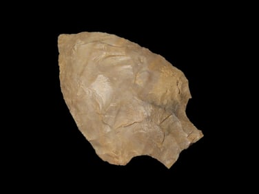 Bottleneck Pt. Ace of Spades, EX Jim Lee Collection, Dickey COA, Southern USA