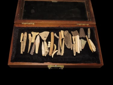 Collection of Bone Artifacts Found in TN