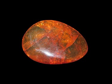 1 5/8" Fossil Amber Found in Europe, Private Collection Penn