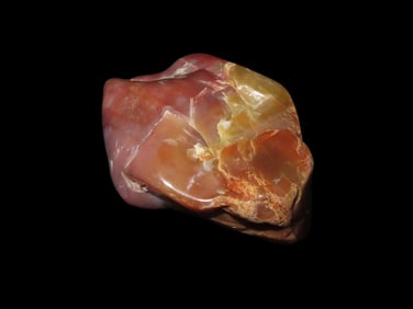 Wonderful Polished Carnelian Agate Petrified Wood Collectible Specimen 75 grams