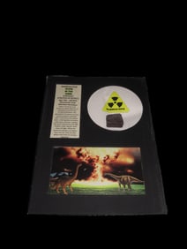 8 3/8" x 6 1/2" Case with Radioactive Glow in the Dark Jurassic Dinosaur Bone, 156 - 146 MYA,