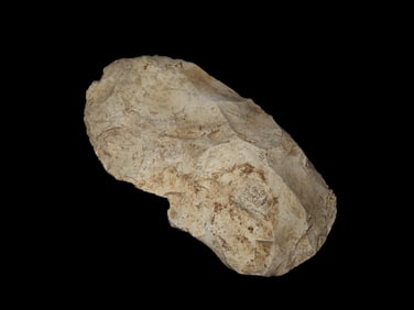 6 5/8" Spade Digger Celt Adze, Archaic, Ex Steve Manos