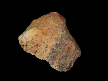 3 3/8" Flint Bell Axe/Celt Found in IL River Valley by Steve Koch, Scott CO, IL