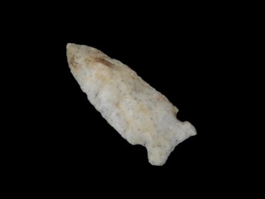 Quality Fox Ear Robinson Found in Lewis Co. Missouri