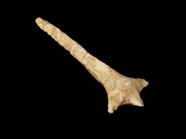 2 9/16" Drill, Broken and glued, Osage Co. Oklahoma, Ex M. Beck