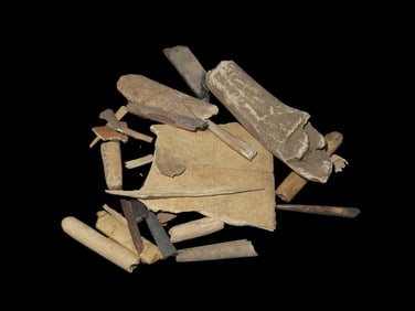 Grouping of Bone Relics / Artifacts Central USA